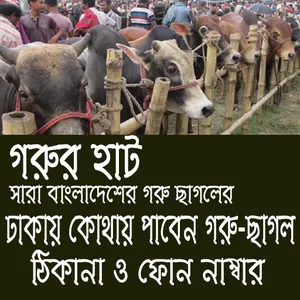 গরু ছাগলের হাটের ঠিকানা screenshot 1