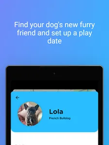 Dogdate screenshot 9