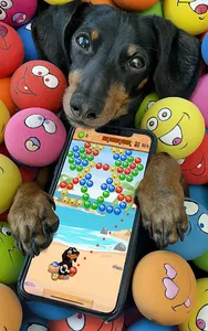 Crusoe Squeaky Ball Bubble POP screenshot 12