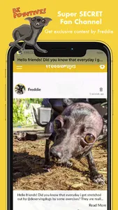 FreddieMojis - Cute chihuahua  screenshot 6