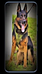 Dog K9 Wallpapers screenshot 1