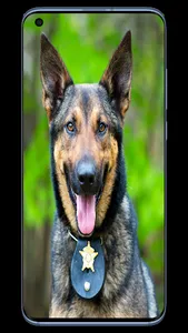 Dog K9 Wallpapers screenshot 2