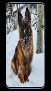Dog K9 Wallpapers screenshot 3