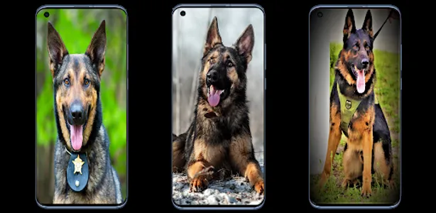 Dog K9 Wallpapers screenshot 7