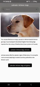Labrador retriever dogs screenshot 0