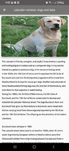 Labrador retriever dogs screenshot 1