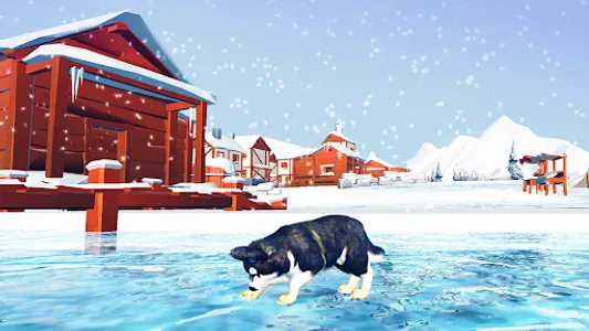 Alaskan Malamute Simulator screenshot 15