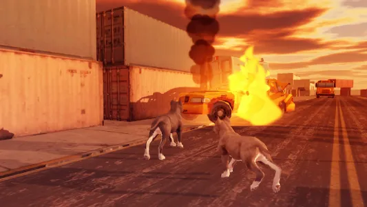 Pitbull Dog Simulator screenshot 17