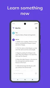 Merlin AI screenshot 3