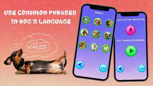 Translator for Dogs Prank screenshot 8