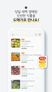 도매도 DOMADO screenshot 4
