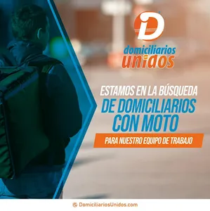 Domis screenshot 2