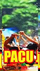 DJ Pacu Jalur screenshot 10