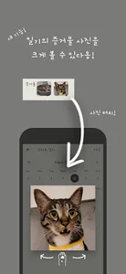 집사 일기 : 고냥이 전용이다옹! screenshot 1