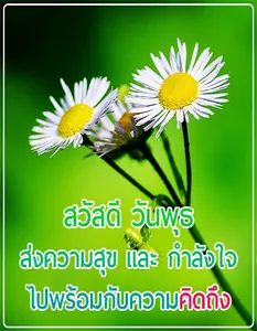 สวัสดีตอนเช้า ประจำวัน screenshot 2