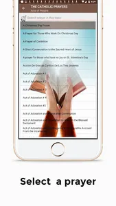 All Catholic Prayers (Offline) screenshot 2