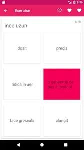 Romanian Turkish Dictionary screenshot 3