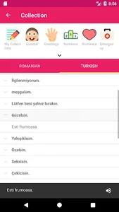 Romanian Turkish Dictionary screenshot 5