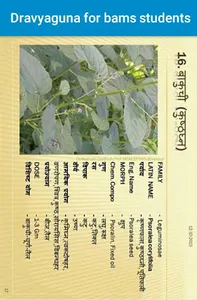 Dravyaguna for bams students screenshot 3