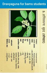 Dravyaguna for bams students screenshot 6