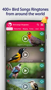 Bird Songs: Ringtones screenshot 0