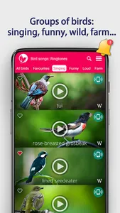 Bird Songs: Ringtones screenshot 5