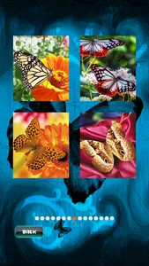 Butterfly Fluttering Puzzle screenshot 13