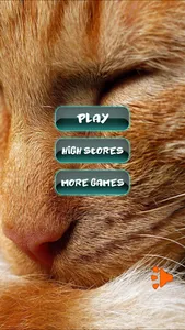 Cat Favourite Puzzles screenshot 15