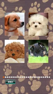 Cute Puppies Puzzle screenshot 1