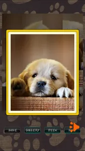 Cute Puppies Puzzle screenshot 12