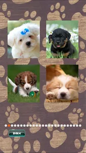 Cute Puppies Puzzle screenshot 13