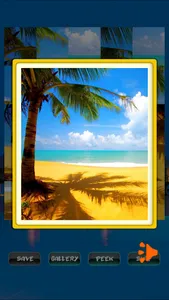 Tropical Adventure Puzzle screenshot 1