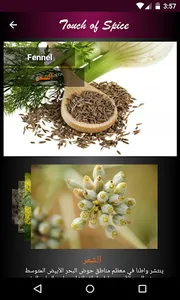 Arabic spices names in english screenshot 2
