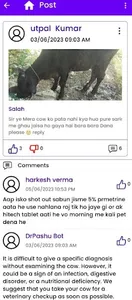 DrPashu - Video Call with Vet screenshot 2