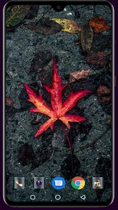 Leaf Wallpaper screenshot 9