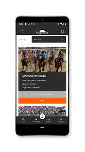 Race Crowd screenshot 1