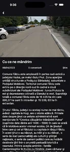 Primăria Fălciu screenshot 5