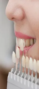 Stomatologiya screenshot 5