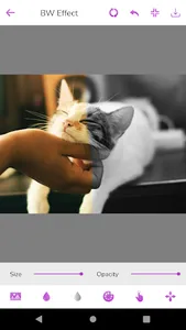 DTmobi Photo Effect screenshot 6