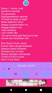 Blackpink Song Offline screenshot 10