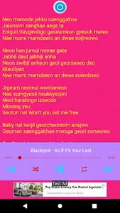 Blackpink Song Offline screenshot 4