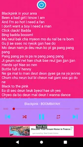 Blackpink Song Offline screenshot 6