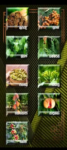 spice prices sri lanka screenshot 1