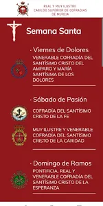 Cabildo Murcia screenshot 1