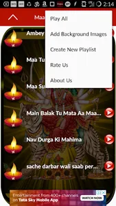 Durga Chalisa Aarti and Bhajan screenshot 9