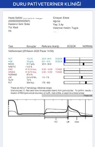Duru Pati Veteriner screenshot 4