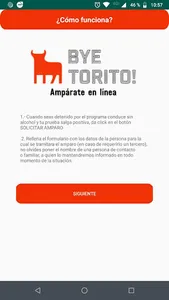 Bye Torito screenshot 3
