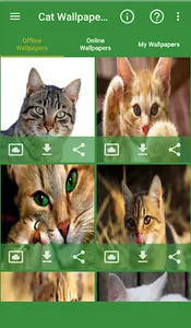 Cat Wallpapers screenshot 1