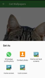 Cat Wallpapers screenshot 3