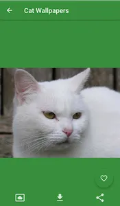 Cat Wallpapers screenshot 4